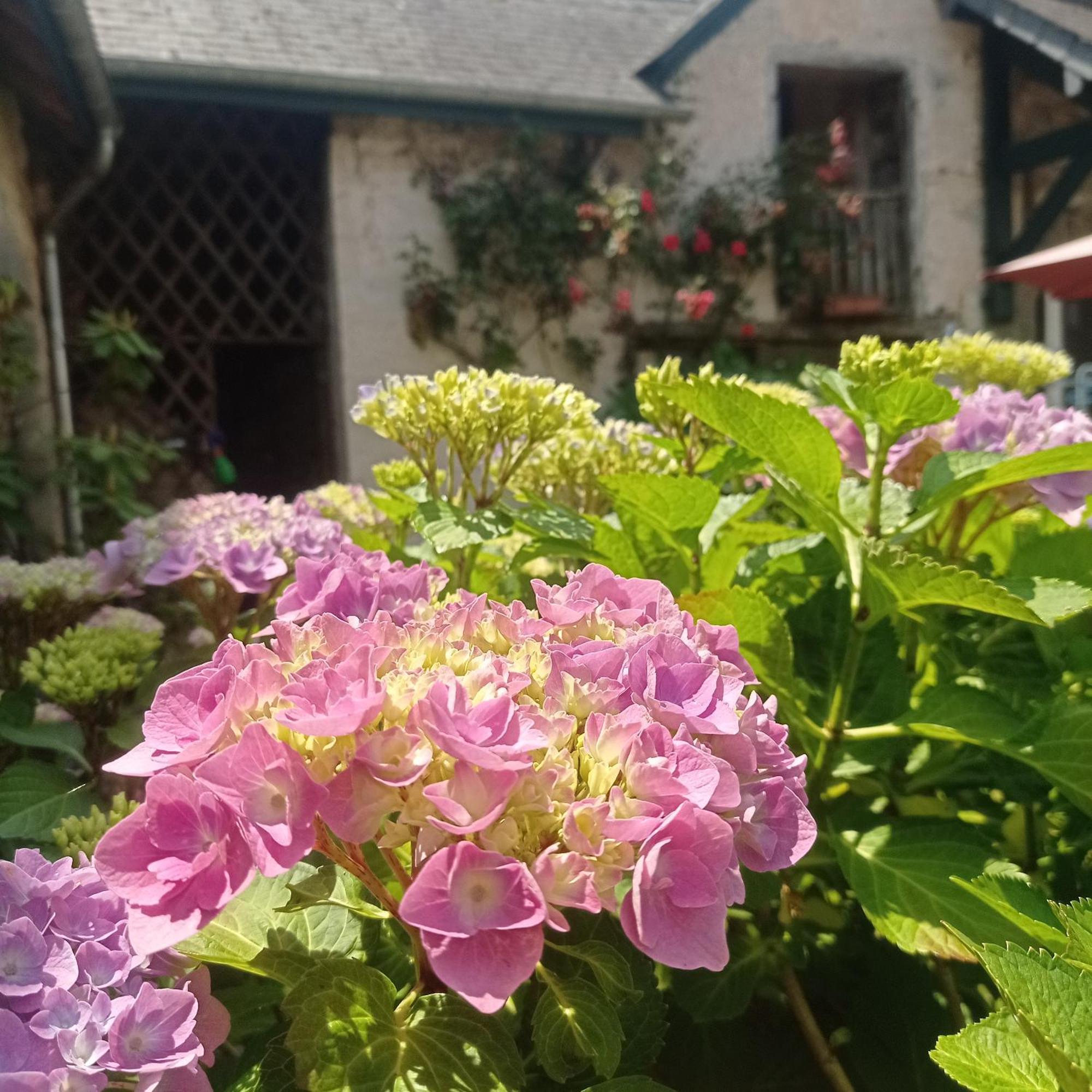 Le Clos De Cinacle Ogeu-les-Bains Exterior photo